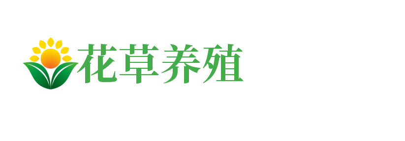 四川省乐山市五通桥区型典诞考勤机股份公司,襄樊四川省乐山市五通桥区型典诞考勤机股份公司